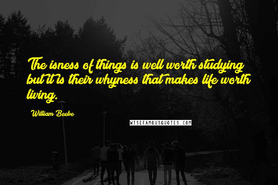 William Beebe Quotes: The isness of things is well worth studying; but it is their whyness that makes life worth living.