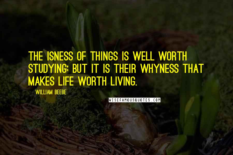 William Beebe Quotes: The isness of things is well worth studying; but it is their whyness that makes life worth living.