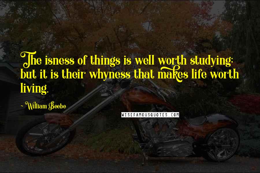 William Beebe Quotes: The isness of things is well worth studying; but it is their whyness that makes life worth living.