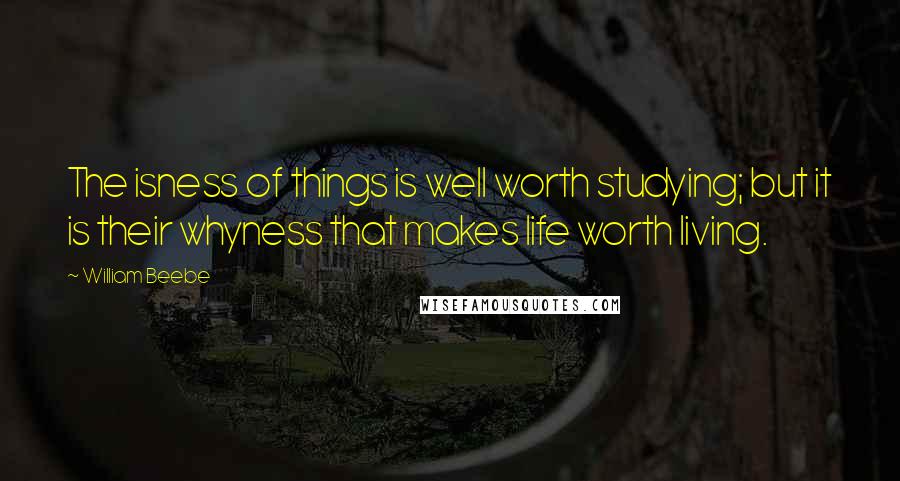 William Beebe Quotes: The isness of things is well worth studying; but it is their whyness that makes life worth living.