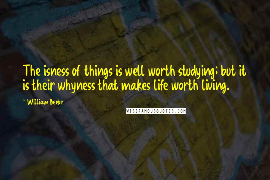 William Beebe Quotes: The isness of things is well worth studying; but it is their whyness that makes life worth living.