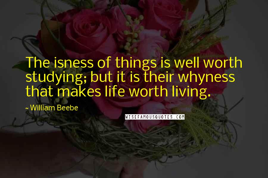 William Beebe Quotes: The isness of things is well worth studying; but it is their whyness that makes life worth living.