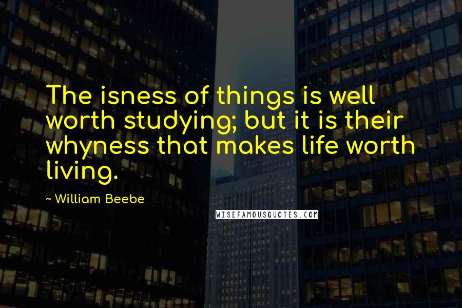 William Beebe Quotes: The isness of things is well worth studying; but it is their whyness that makes life worth living.