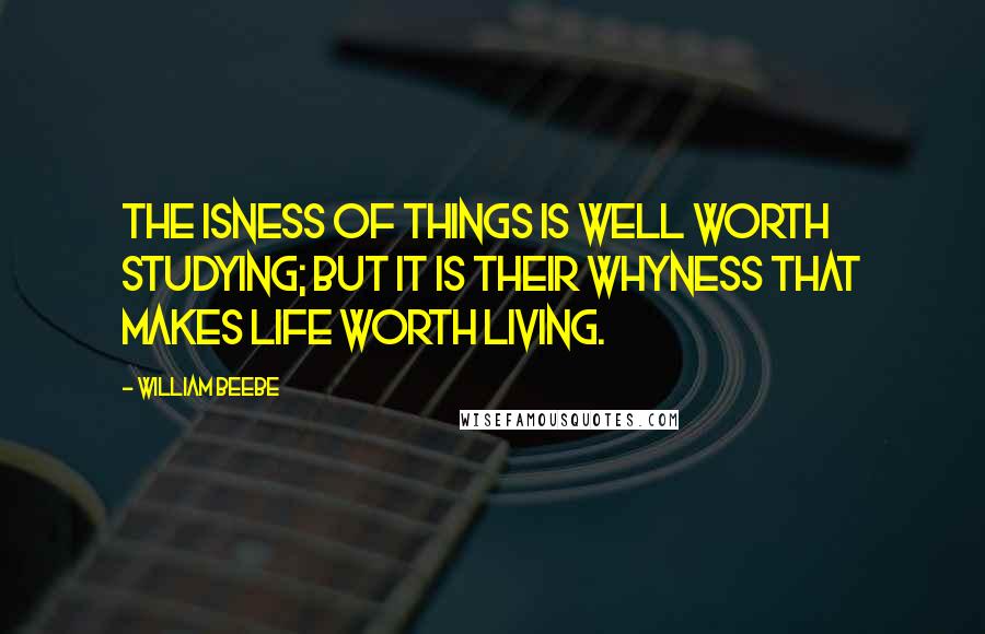 William Beebe Quotes: The isness of things is well worth studying; but it is their whyness that makes life worth living.