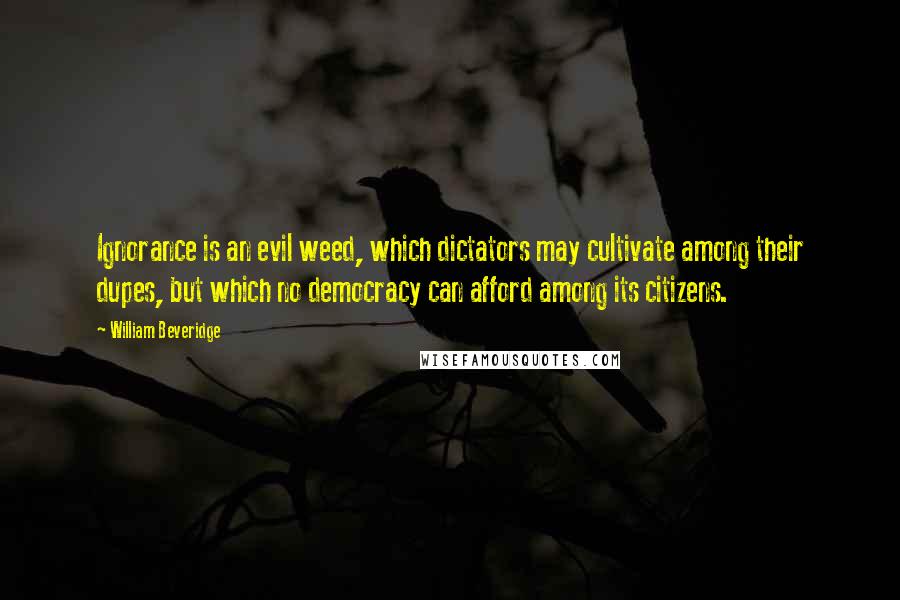 William Beveridge Quotes: Ignorance is an evil weed, which dictators may cultivate among their dupes, but which no democracy can afford among its citizens.