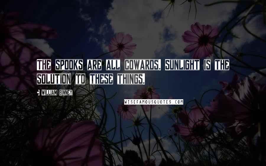 William Binney Quotes: The spooks are all cowards. Sunlight is the solution to these things.