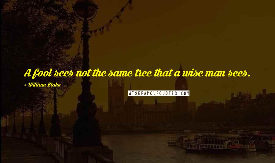 William Blake Quotes: A fool sees not the same tree that a wise man sees.