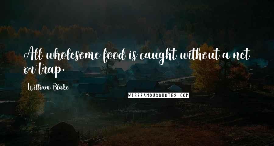 William Blake Quotes: All wholesome food is caught without a net or trap.