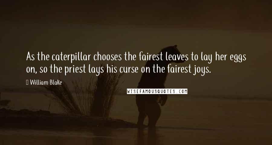 William Blake Quotes: As the caterpillar chooses the fairest leaves to lay her eggs on, so the priest lays his curse on the fairest joys.