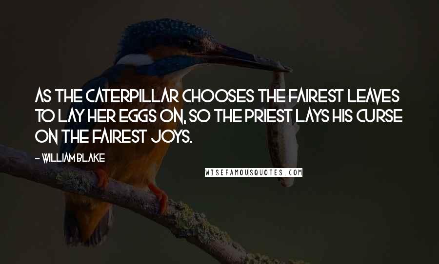 William Blake Quotes: As the caterpillar chooses the fairest leaves to lay her eggs on, so the priest lays his curse on the fairest joys.