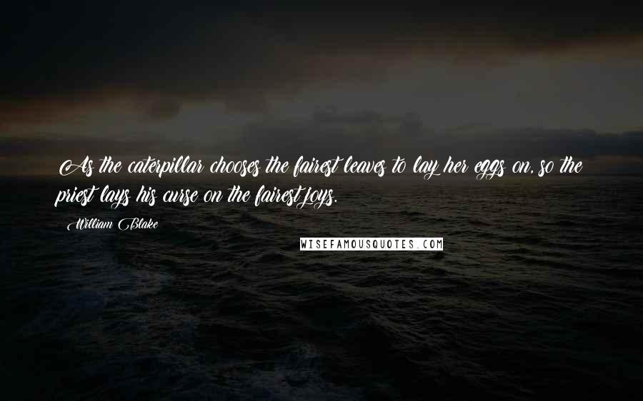 William Blake Quotes: As the caterpillar chooses the fairest leaves to lay her eggs on, so the priest lays his curse on the fairest joys.