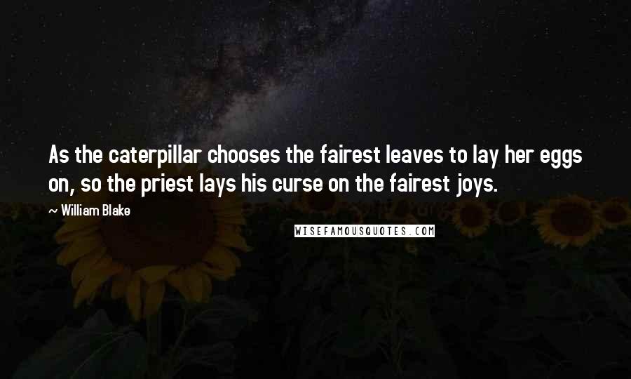 William Blake Quotes: As the caterpillar chooses the fairest leaves to lay her eggs on, so the priest lays his curse on the fairest joys.