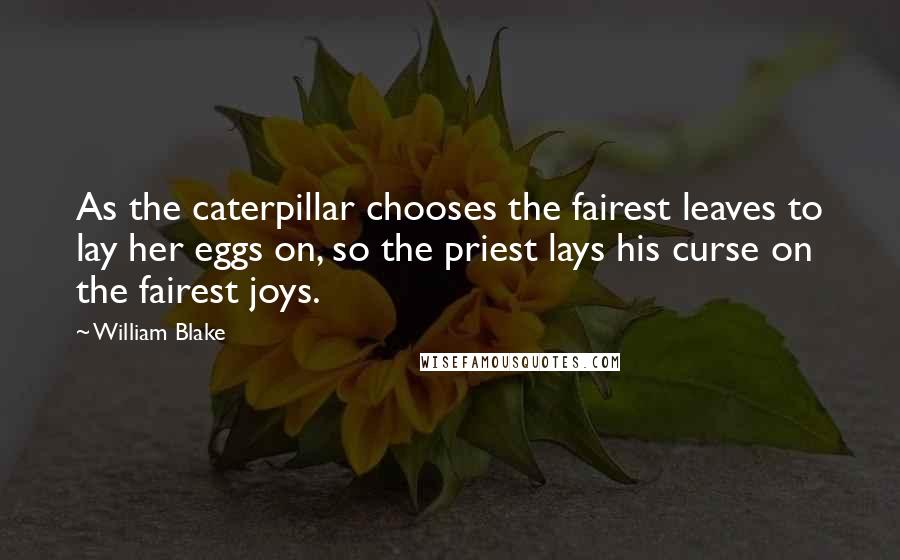 William Blake Quotes: As the caterpillar chooses the fairest leaves to lay her eggs on, so the priest lays his curse on the fairest joys.