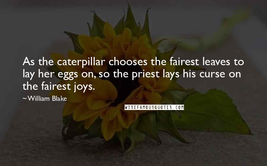 William Blake Quotes: As the caterpillar chooses the fairest leaves to lay her eggs on, so the priest lays his curse on the fairest joys.