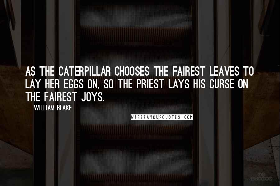 William Blake Quotes: As the caterpillar chooses the fairest leaves to lay her eggs on, so the priest lays his curse on the fairest joys.