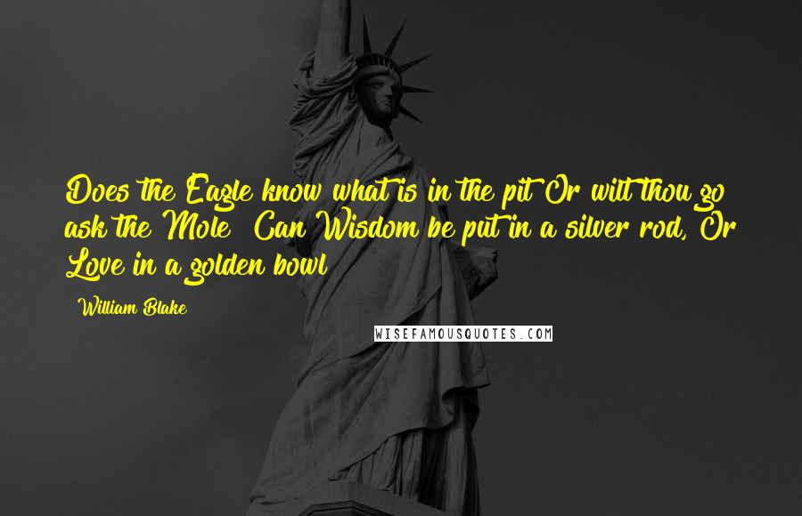 William Blake Quotes: Does the Eagle know what is in the pit Or wilt thou go ask the Mole? Can Wisdom be put in a silver rod, Or Love in a golden bowl?