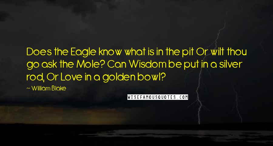 William Blake Quotes: Does the Eagle know what is in the pit Or wilt thou go ask the Mole? Can Wisdom be put in a silver rod, Or Love in a golden bowl?