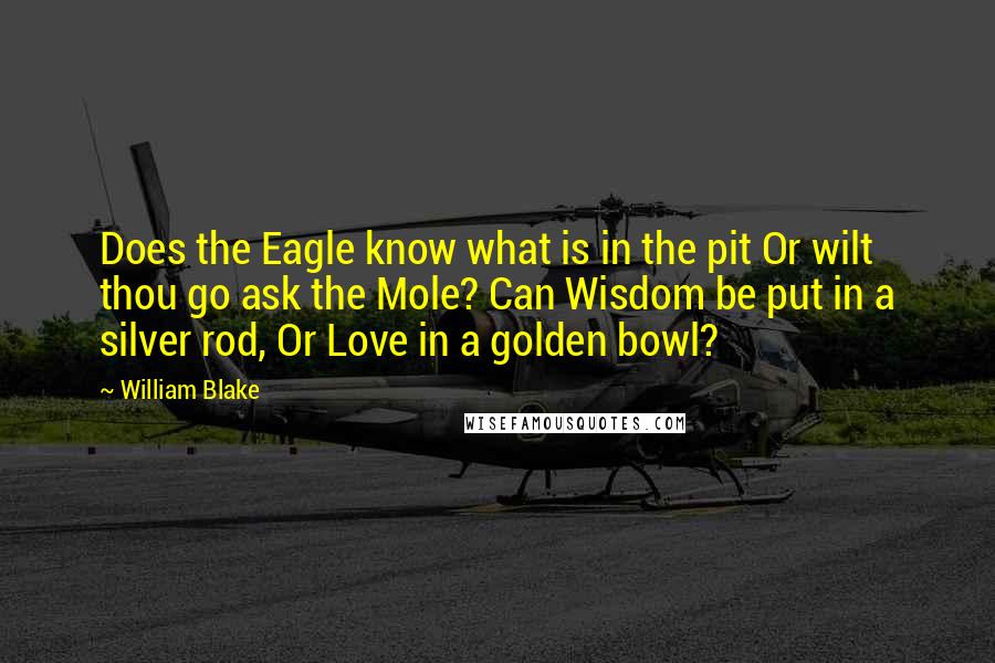William Blake Quotes: Does the Eagle know what is in the pit Or wilt thou go ask the Mole? Can Wisdom be put in a silver rod, Or Love in a golden bowl?