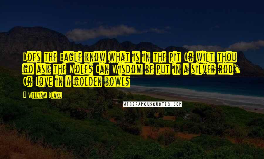 William Blake Quotes: Does the Eagle know what is in the pit Or wilt thou go ask the Mole? Can Wisdom be put in a silver rod, Or Love in a golden bowl?