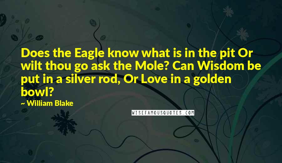 William Blake Quotes: Does the Eagle know what is in the pit Or wilt thou go ask the Mole? Can Wisdom be put in a silver rod, Or Love in a golden bowl?