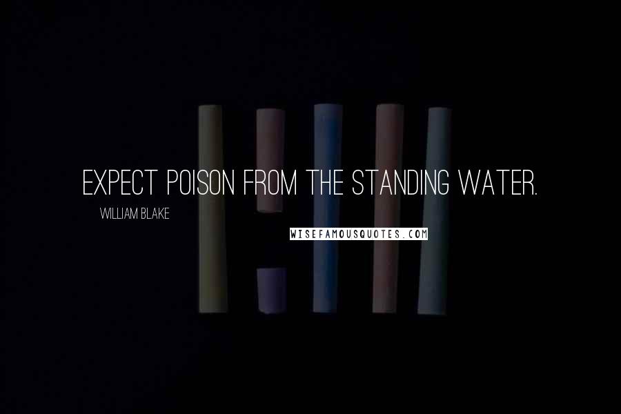 William Blake Quotes: Expect poison from the standing water.