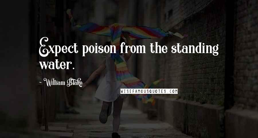 William Blake Quotes: Expect poison from the standing water.