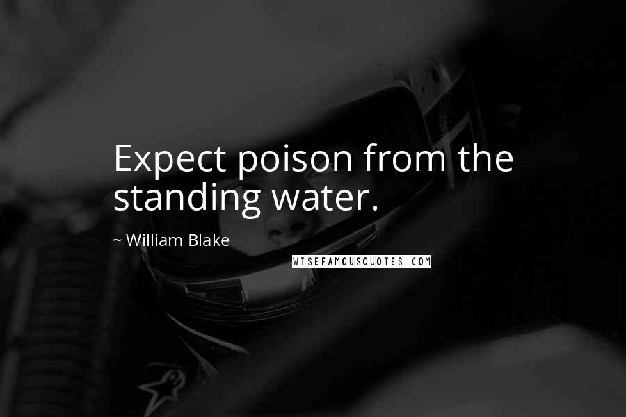 William Blake Quotes: Expect poison from the standing water.