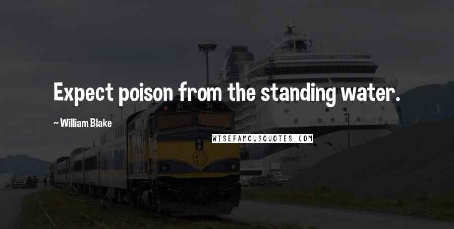 William Blake Quotes: Expect poison from the standing water.