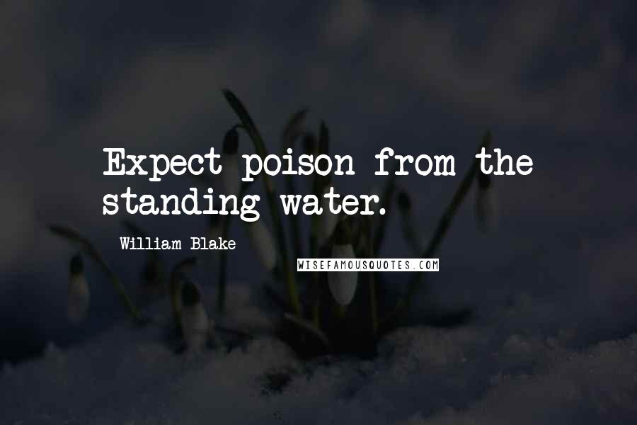 William Blake Quotes: Expect poison from the standing water.
