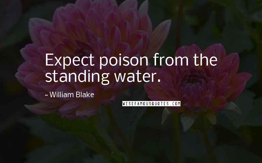 William Blake Quotes: Expect poison from the standing water.