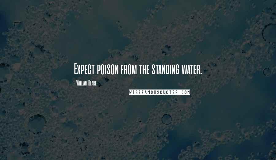 William Blake Quotes: Expect poison from the standing water.