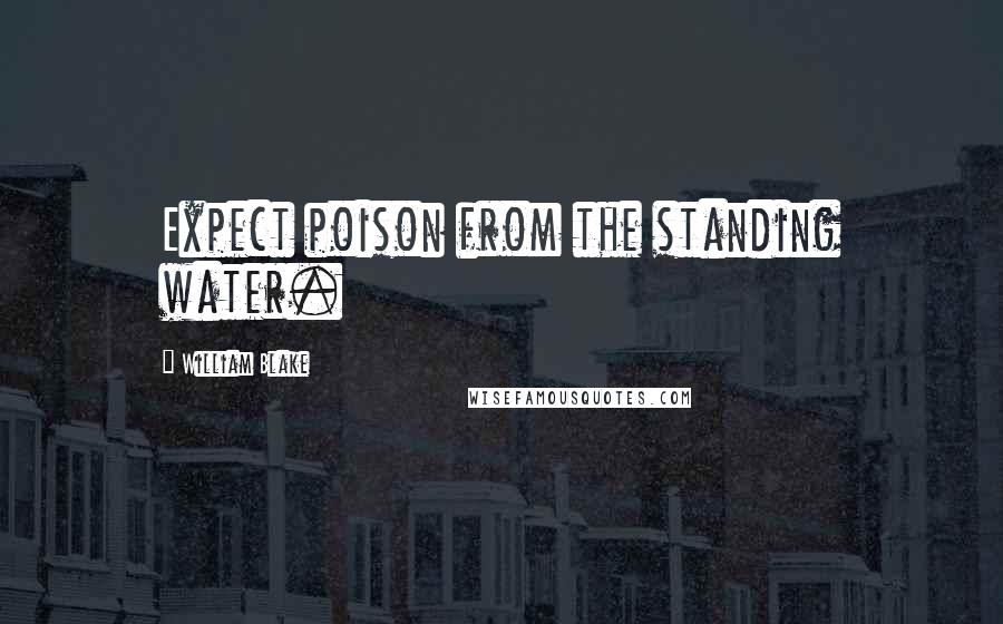 William Blake Quotes: Expect poison from the standing water.