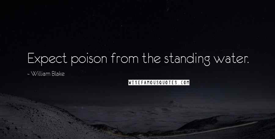 William Blake Quotes: Expect poison from the standing water.