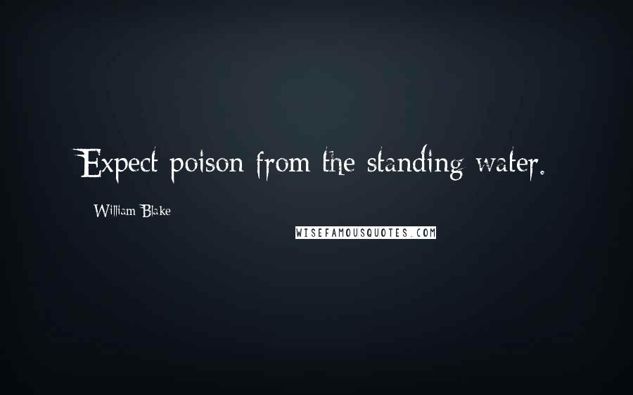 William Blake Quotes: Expect poison from the standing water.