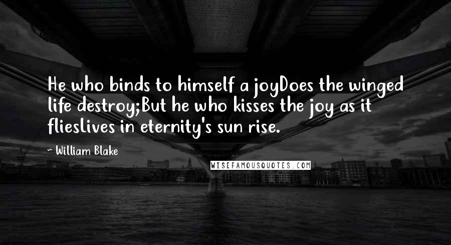 William Blake Quotes: He who binds to himself a joyDoes the winged life destroy;But he who kisses the joy as it fliesLives in eternity's sun rise.