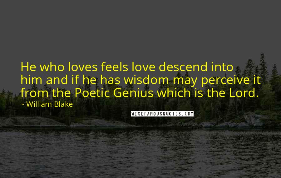William Blake Quotes: He who loves feels love descend into him and if he has wisdom may perceive it from the Poetic Genius which is the Lord.