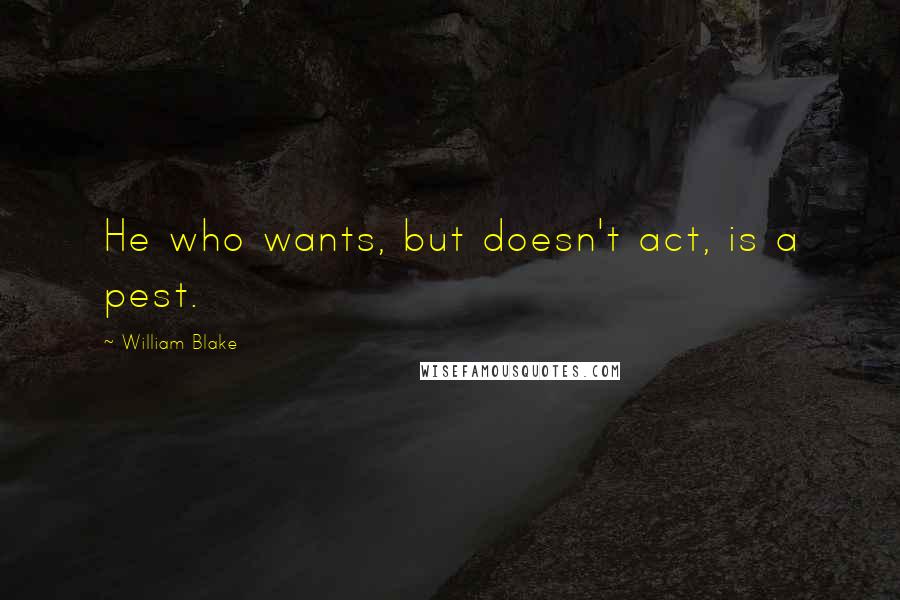 William Blake Quotes: He who wants, but doesn't act, is a pest.