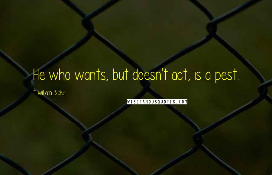 William Blake Quotes: He who wants, but doesn't act, is a pest.