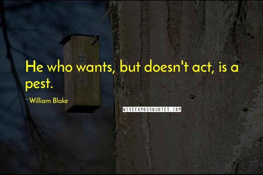 William Blake Quotes: He who wants, but doesn't act, is a pest.