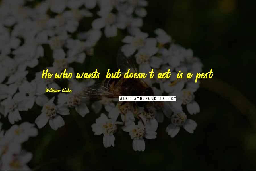 William Blake Quotes: He who wants, but doesn't act, is a pest.