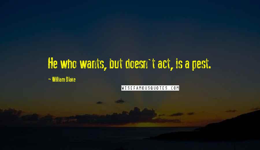 William Blake Quotes: He who wants, but doesn't act, is a pest.