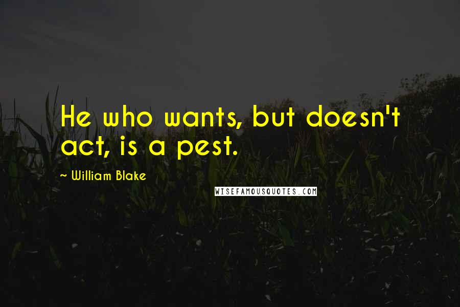 William Blake Quotes: He who wants, but doesn't act, is a pest.