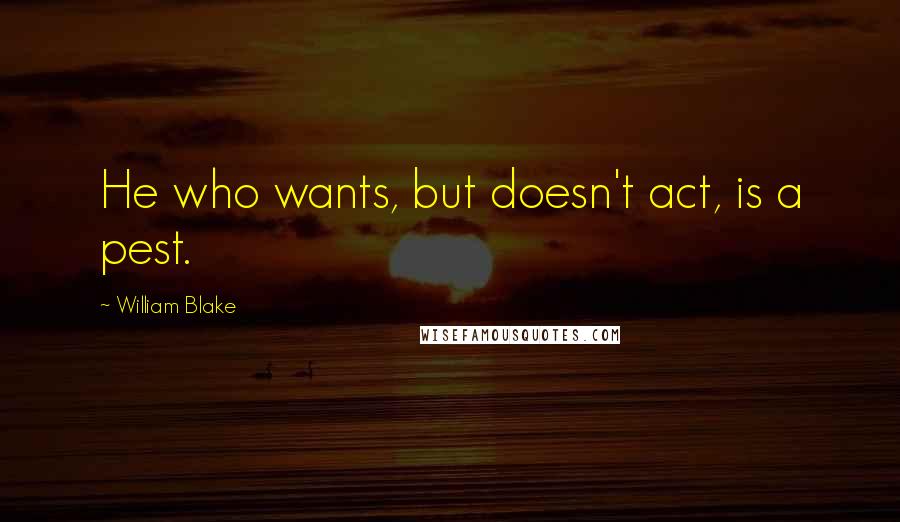 William Blake Quotes: He who wants, but doesn't act, is a pest.