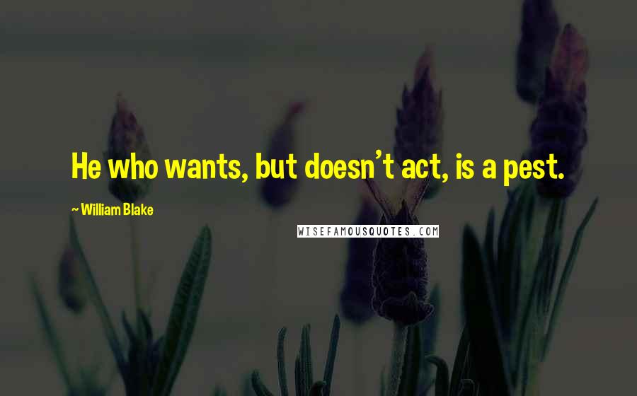 William Blake Quotes: He who wants, but doesn't act, is a pest.