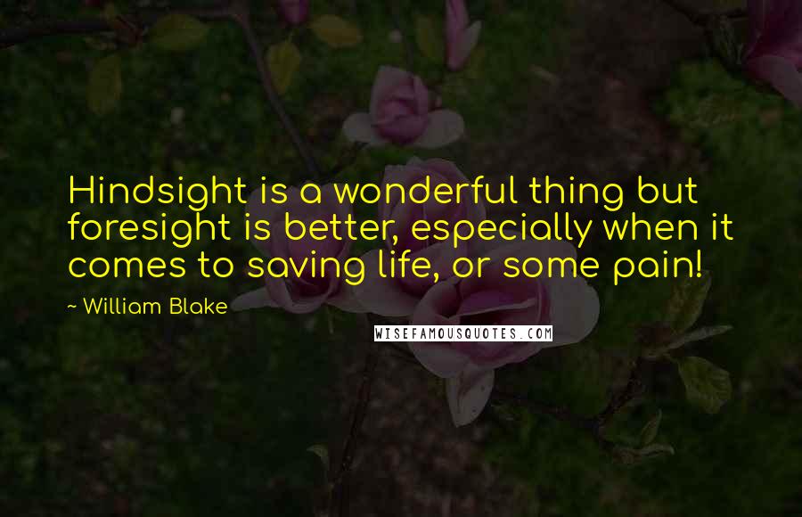 William Blake Quotes: Hindsight is a wonderful thing but foresight is better, especially when it comes to saving life, or some pain!