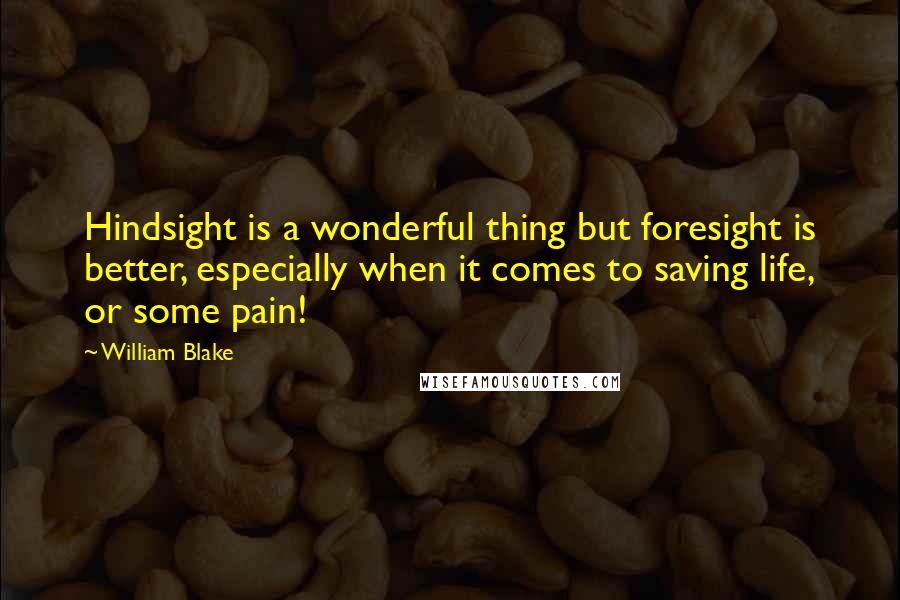 William Blake Quotes: Hindsight is a wonderful thing but foresight is better, especially when it comes to saving life, or some pain!