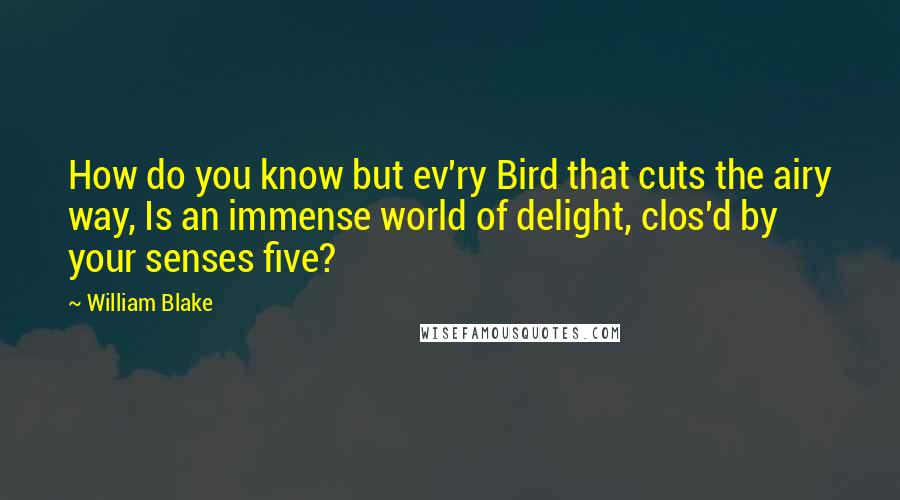 William Blake Quotes: How do you know but ev'ry Bird that cuts the airy way, Is an immense world of delight, clos'd by your senses five?