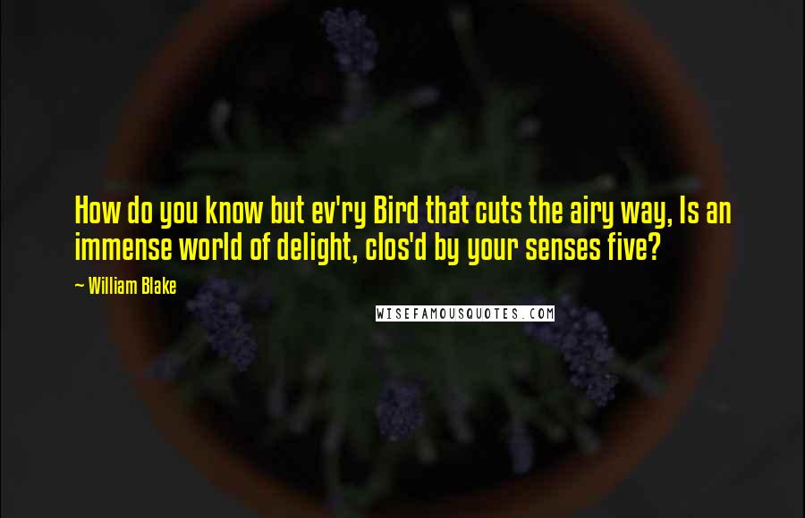 William Blake Quotes: How do you know but ev'ry Bird that cuts the airy way, Is an immense world of delight, clos'd by your senses five?