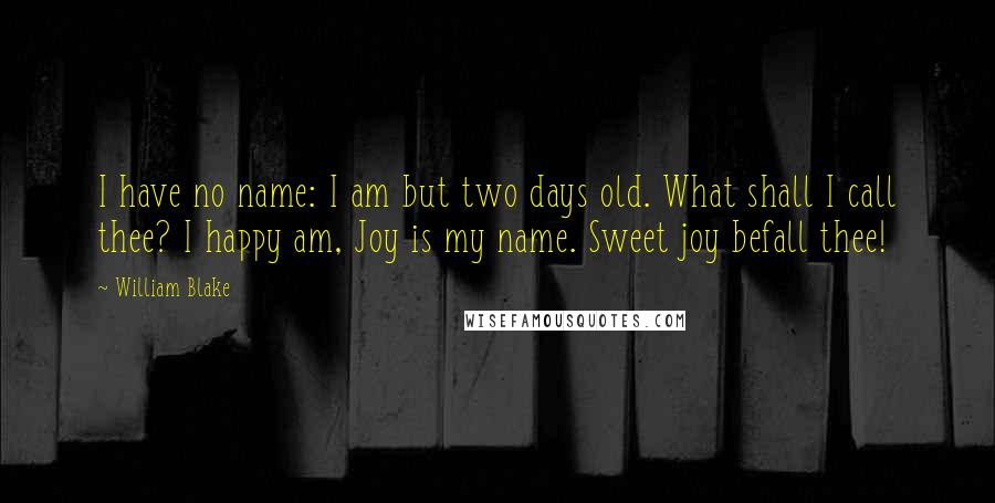 William Blake Quotes: I have no name: I am but two days old. What shall I call thee? I happy am, Joy is my name. Sweet joy befall thee!