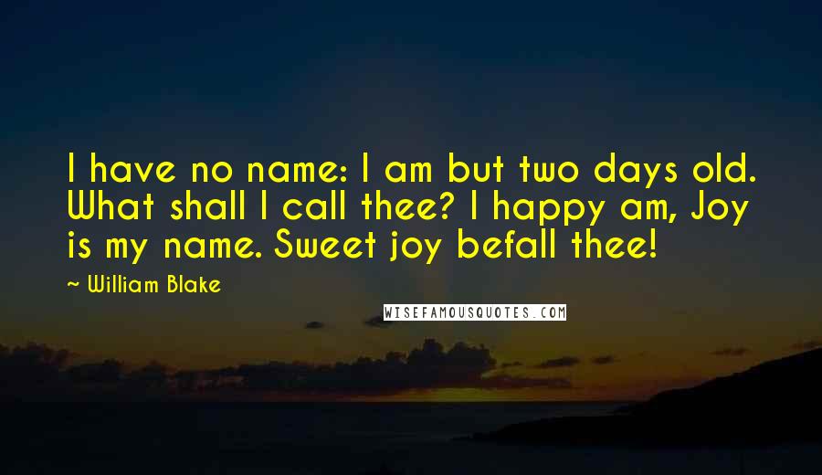 William Blake Quotes: I have no name: I am but two days old. What shall I call thee? I happy am, Joy is my name. Sweet joy befall thee!